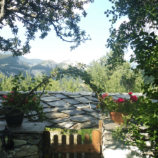 Vue du jardin Au Coeur des Alpes