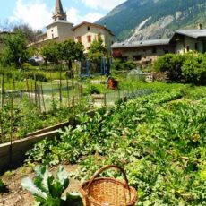 Jardin potager Chambres d'hôtes Villarodin Haute-Maurienne