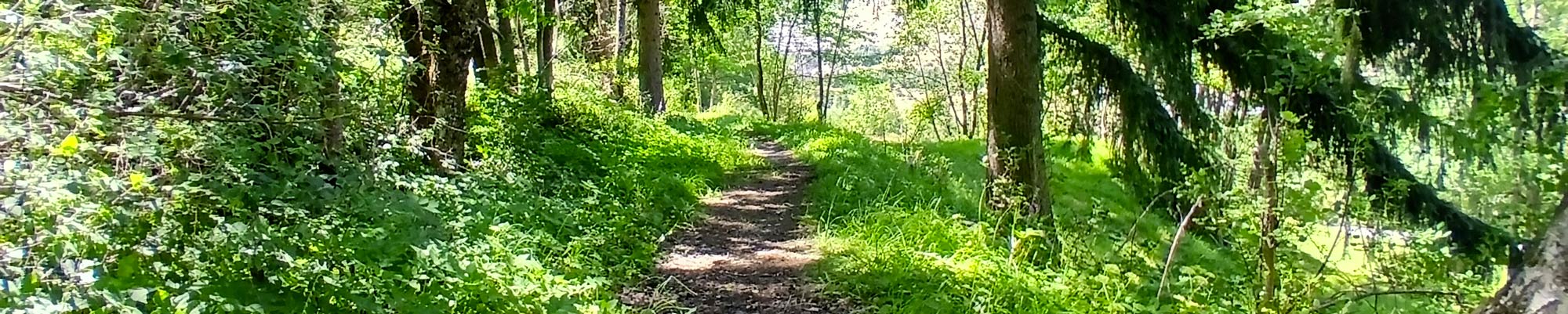 Balade nature Sophro Haute-Maurienne