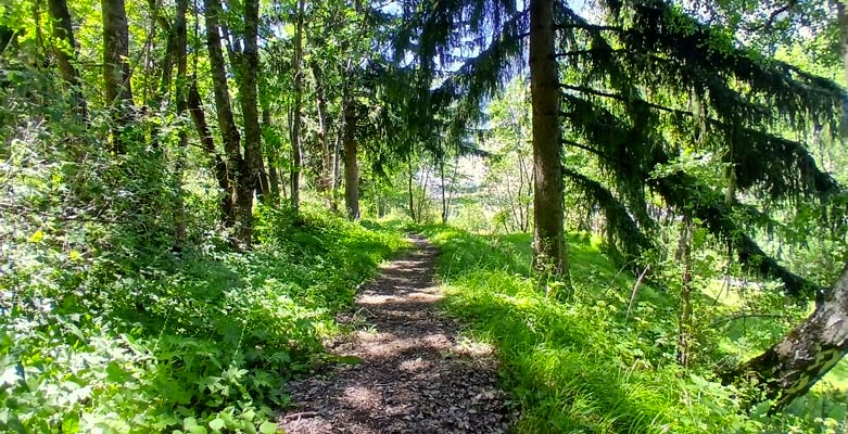 Balade Sophro nature Haute-Maurienne